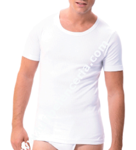 Camiseta hombre  Algodón Canalé Termico manga corta cuello redondo